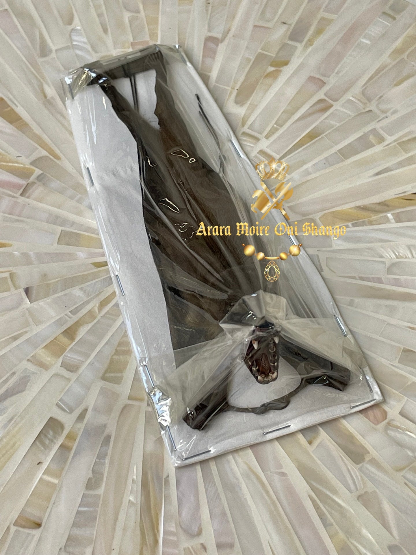 Animales Exóticos Disecados