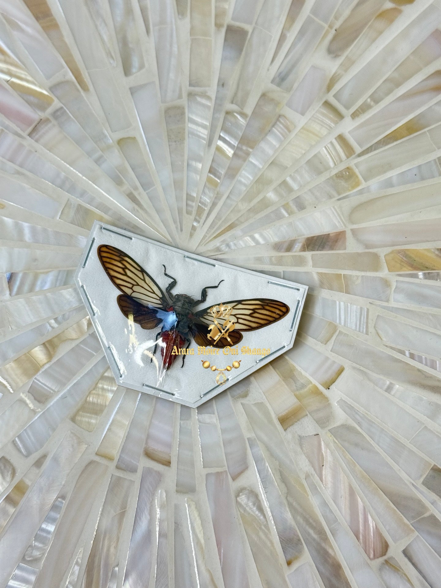 Animales Exóticos Disecados