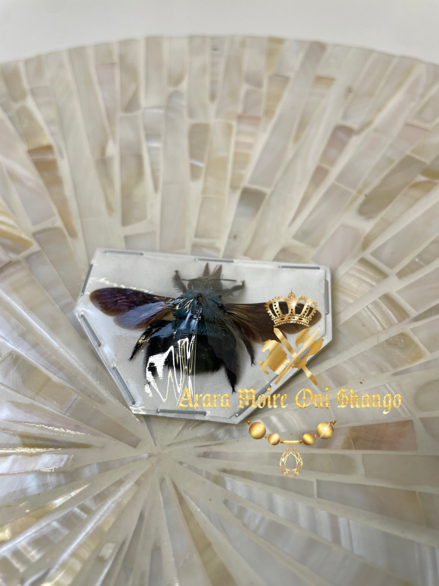 Animales Exóticos Disecados