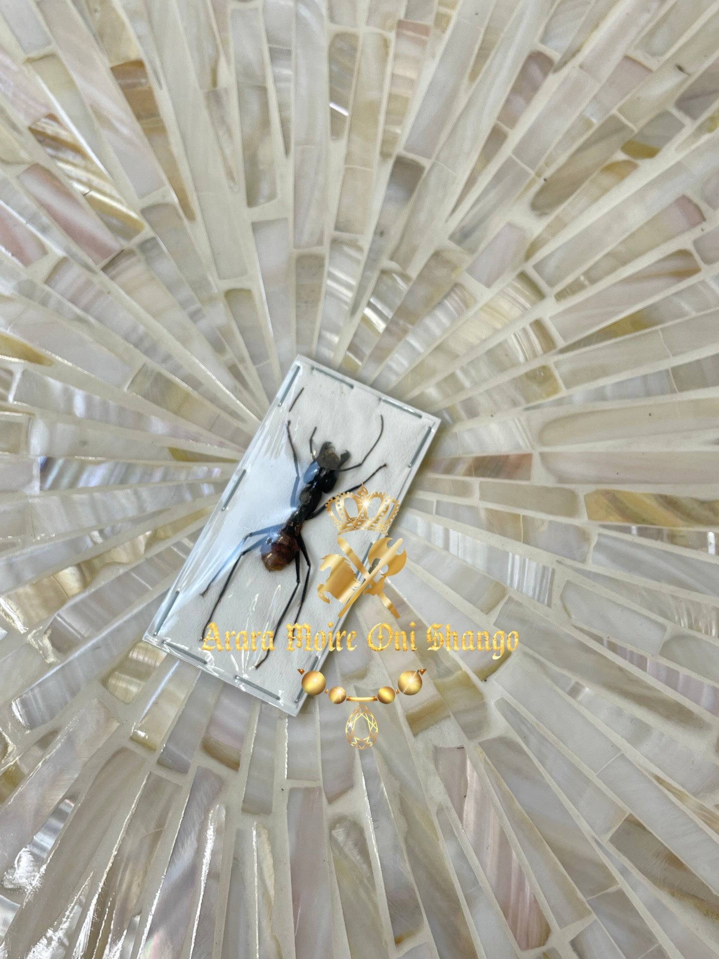 Animales Exóticos Disecados