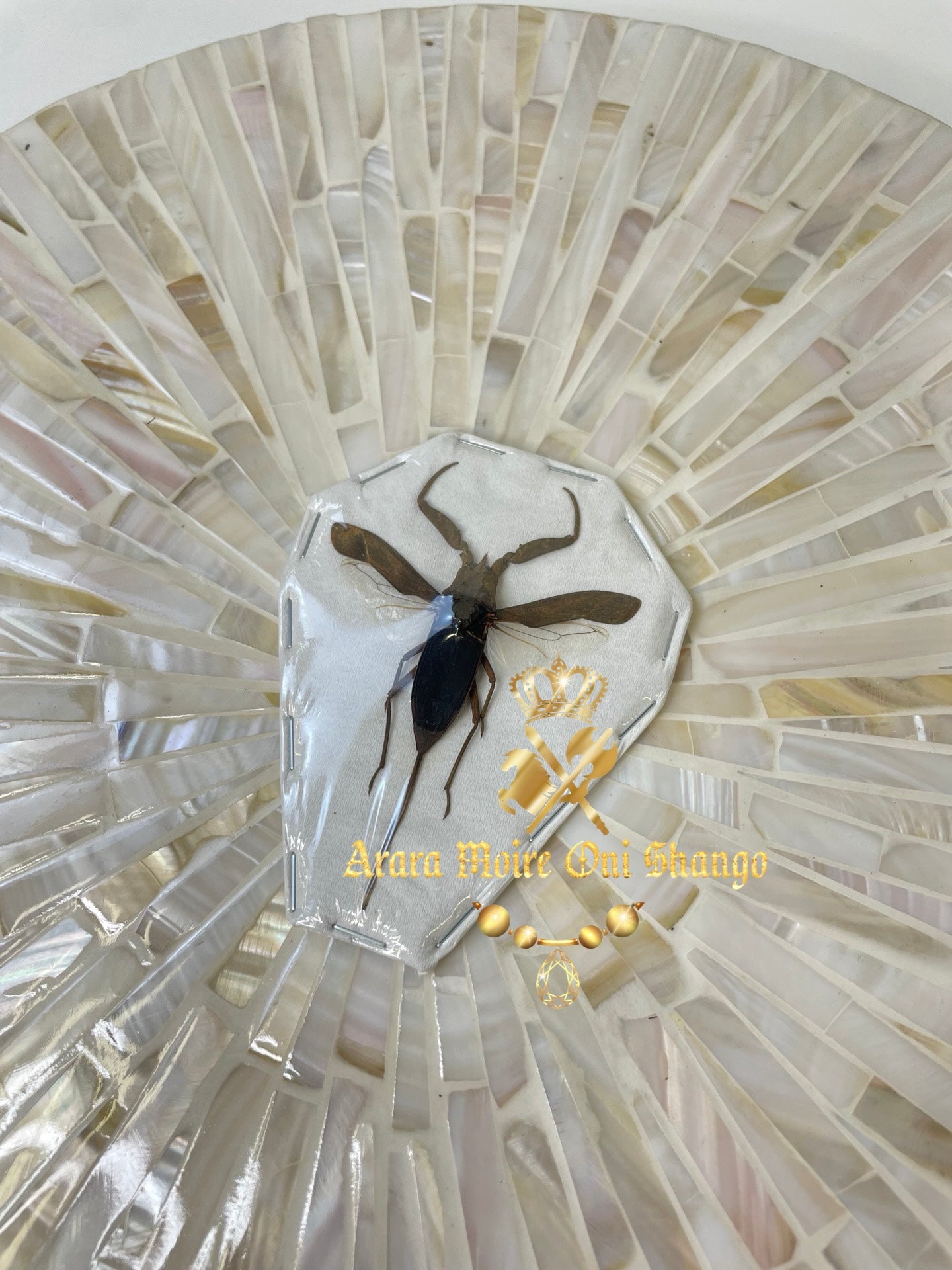 Animales Exóticos Disecados