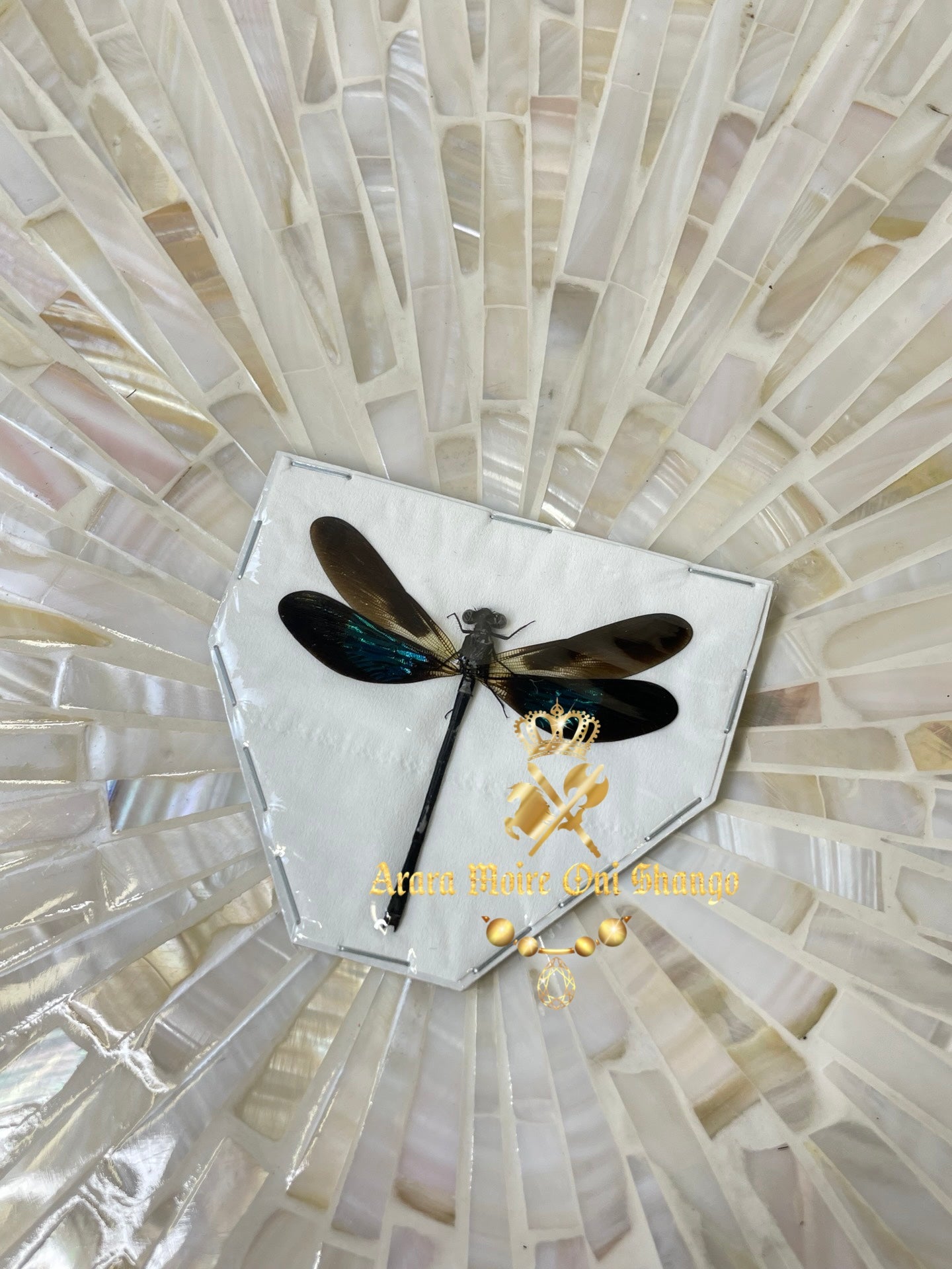 Animales Exóticos Disecados