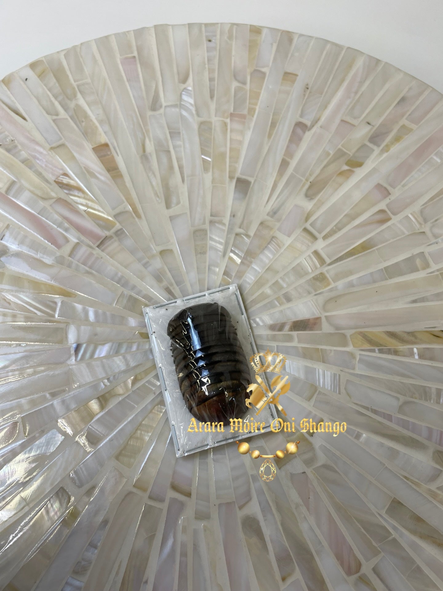 Animales Exóticos Disecados