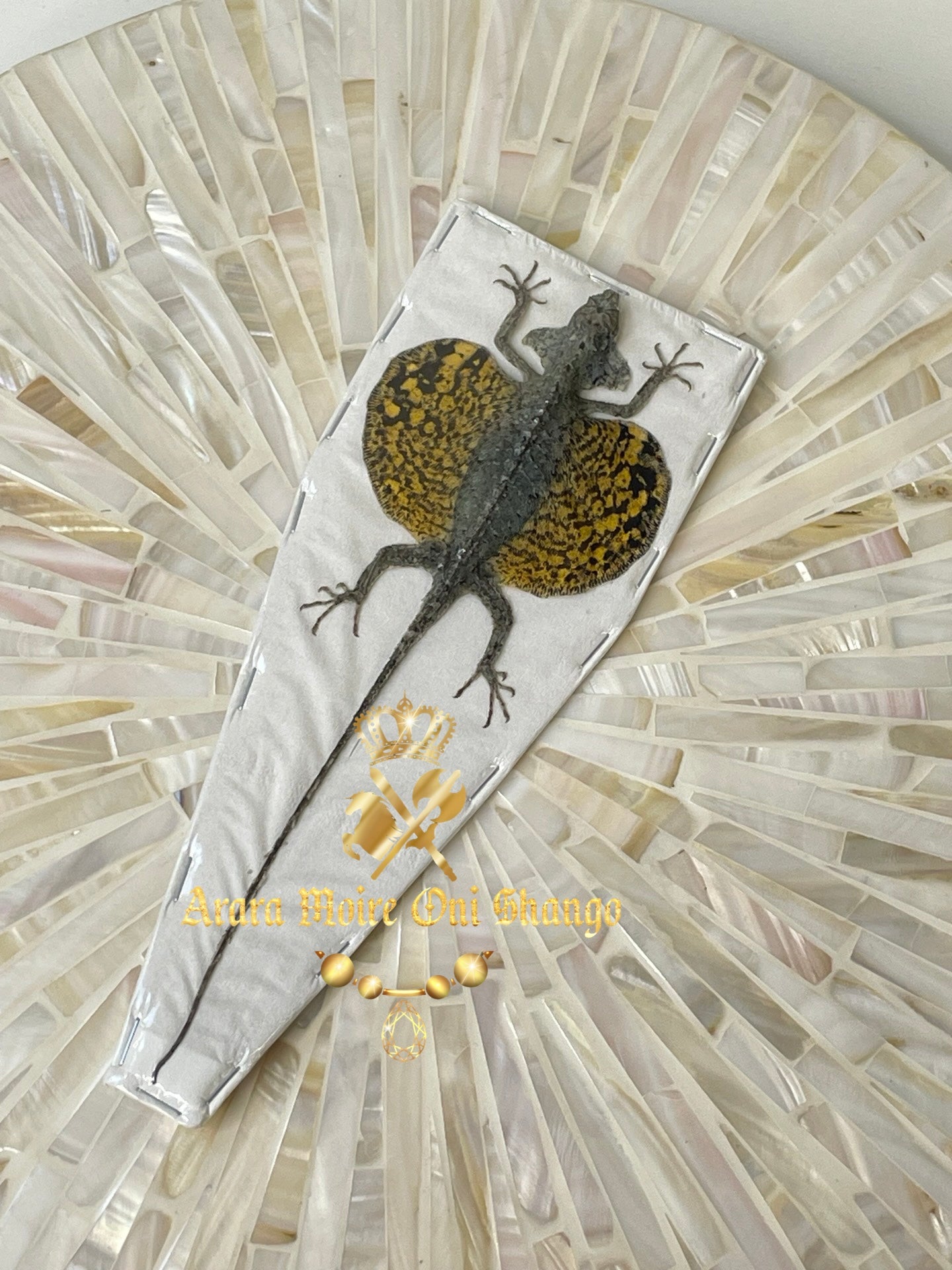 Animales Exóticos Disecados