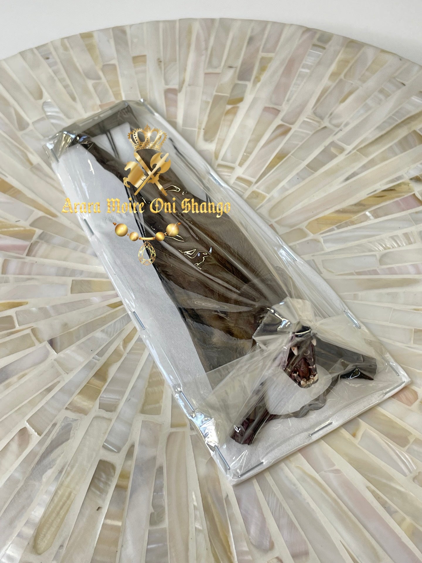 Animales Exóticos Disecados