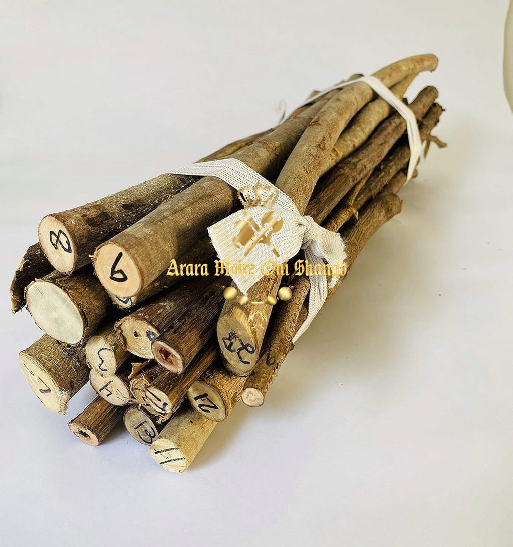 Carga de Palo (16", 21" pulgadas)