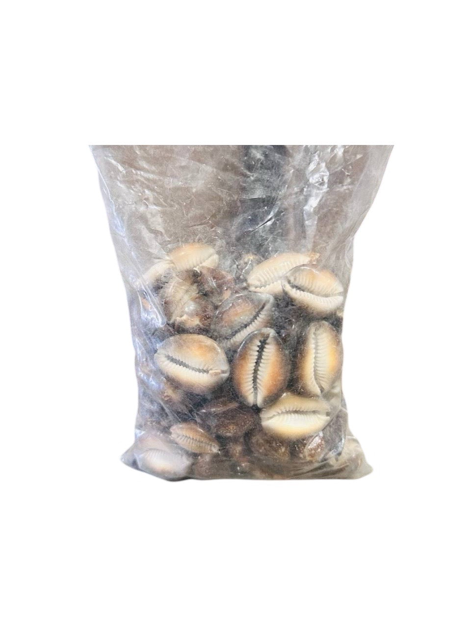 Paquete de caracol de tigre cerrado 1lb